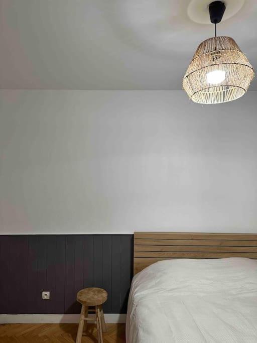 Charmant T3 Moderne Climatise Villeurbanne Exterior photo